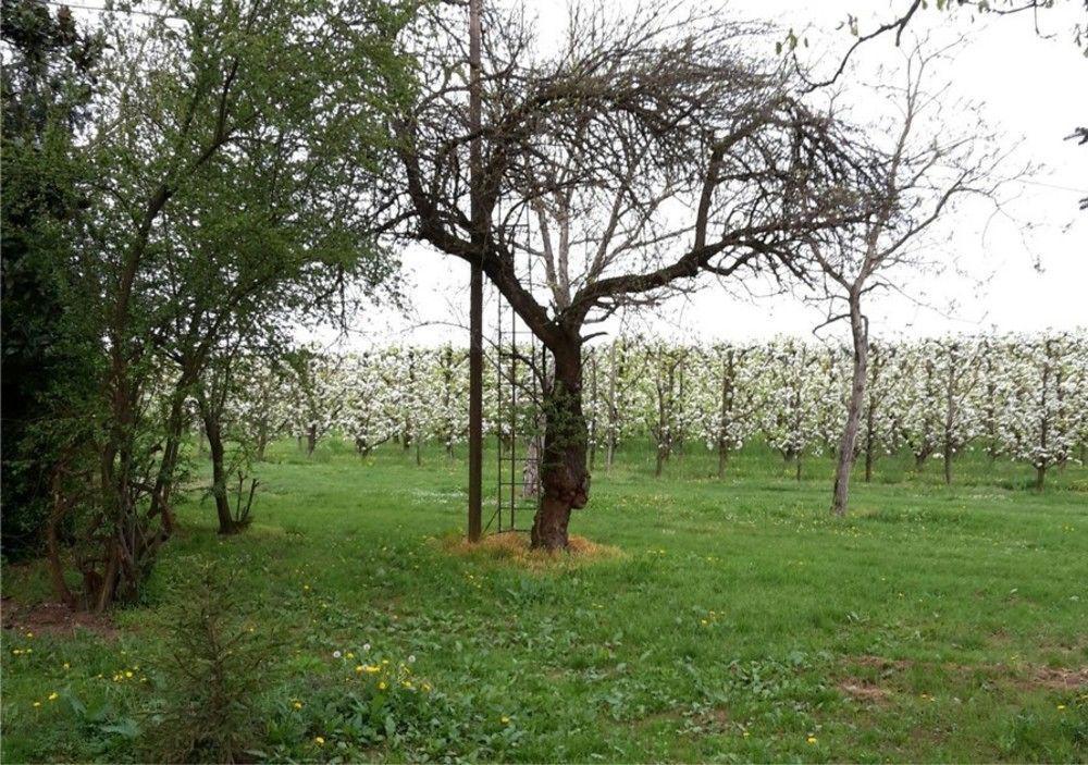 Rolo Agriturismo Dosso Al Porto 빌라 외부 사진